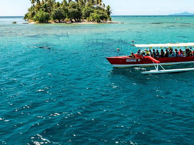 Star Collector: The Cook Islands & Forever French Polynesia