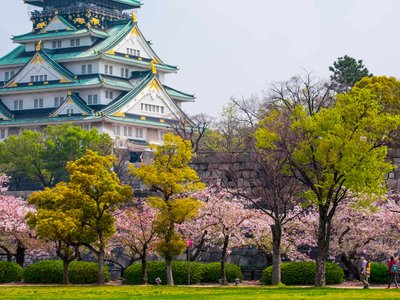 Star Collector: Alaskan Frontiers & Japan’s Hidden Mysteries