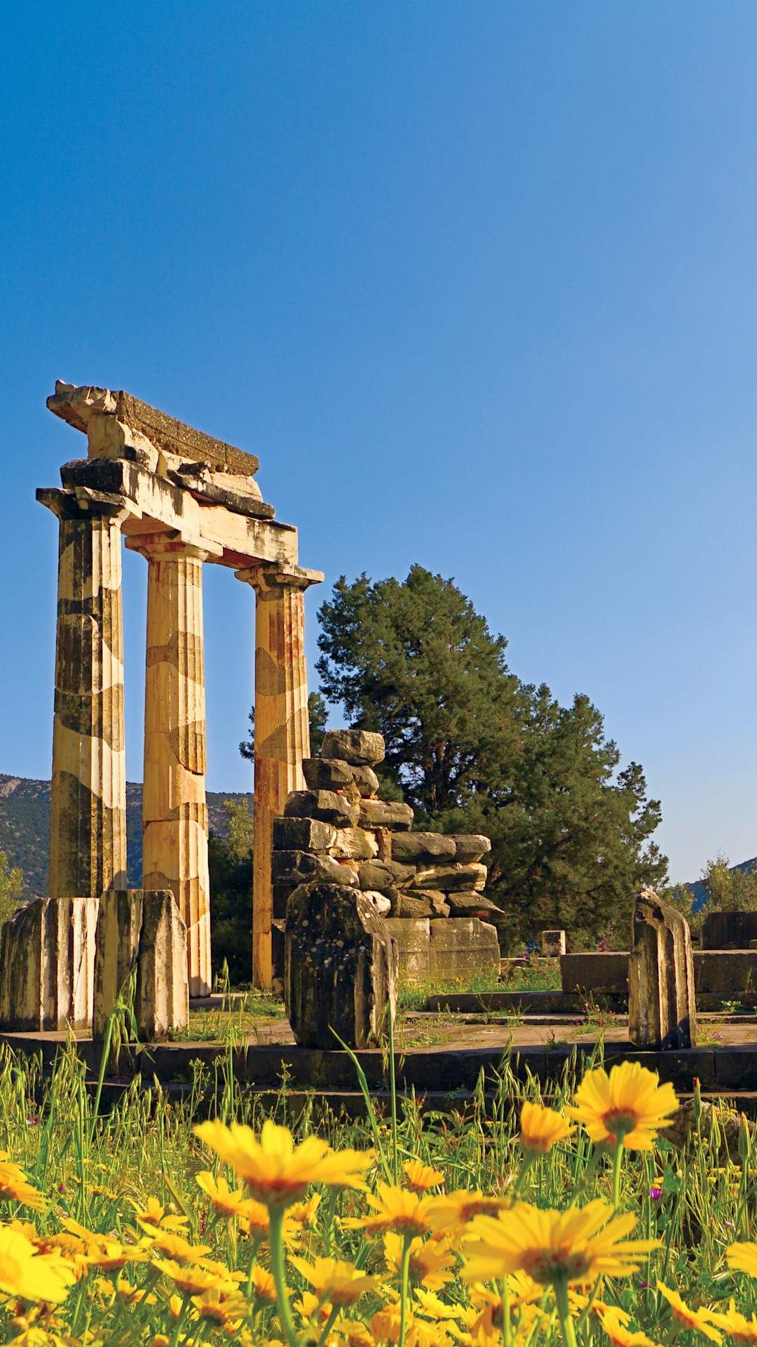 ruins in delphi greece