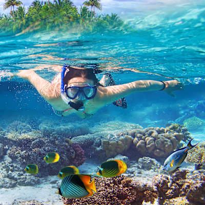 snorkeling in the carribbean