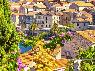 Star Collector: The “Sole” of Italy & Coast of Croatia