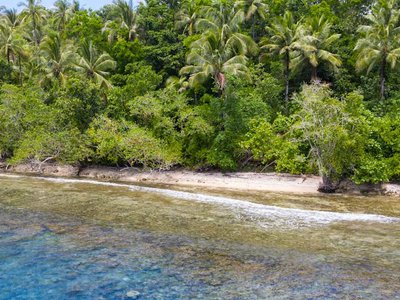 Star Collector: Treasures of the South Pacific